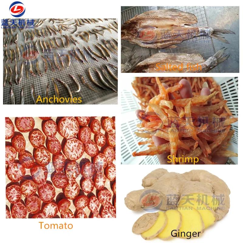 New meat and fish drying line fish heat pump dryer dehydrator oven machine