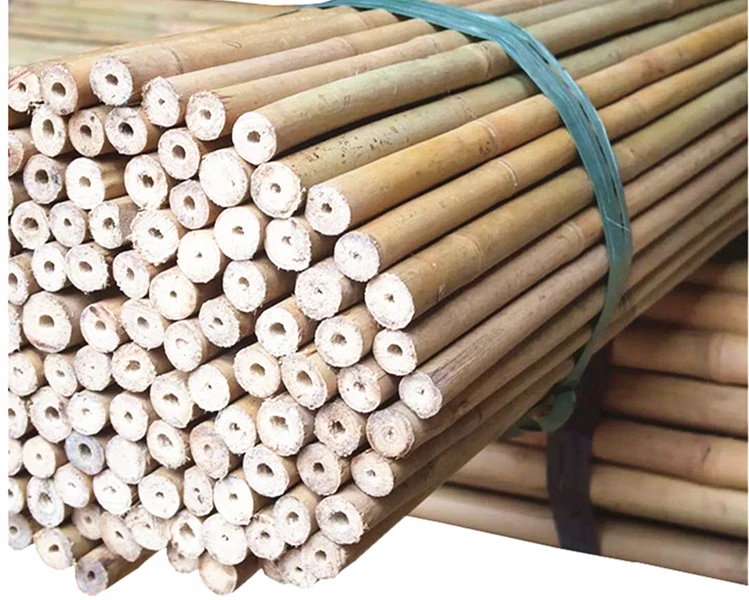 Cheap Natural Tonkin Raw Bamboo Stake for Support