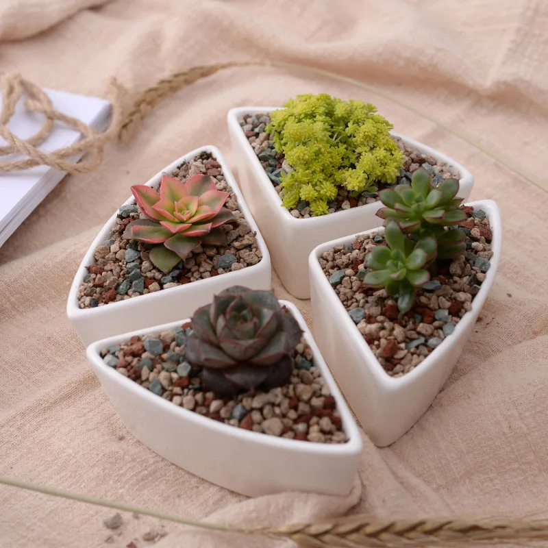 Competitive Price Triangle shape Succulent Planter Pot White Modern Decorative Desktop plant pot