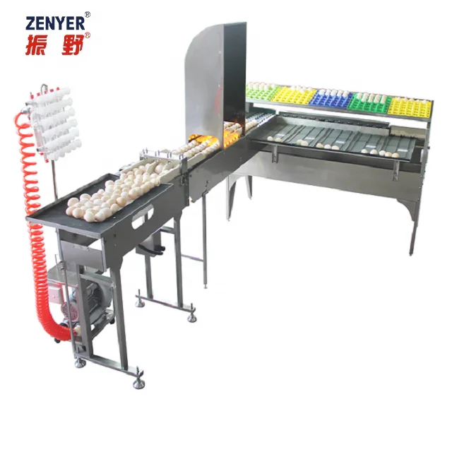 Hot Sale automatic egg grading sorting machine/egg grader/ egg sorter
