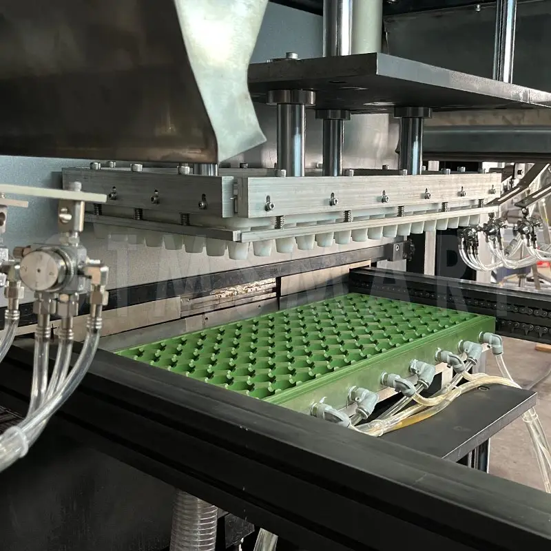 Thermoforming Plastic Machine Food Container Disposable Plates making Machine