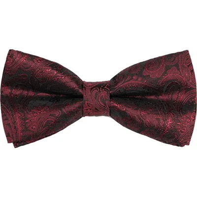 Paisley Polyester Cravat Ascot Tie Red Novelty for Wedding Party Custom Mens Fashion OEM Style Pcs Material Origin Size Service