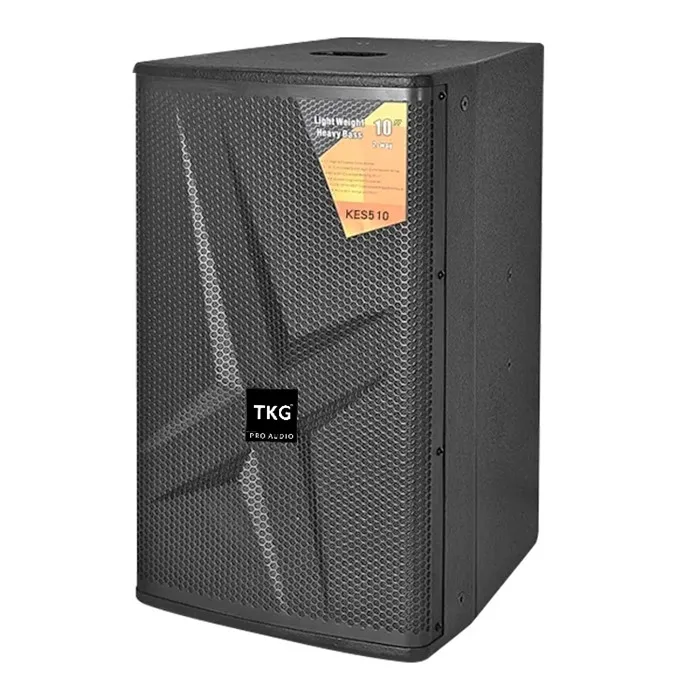 TKG аудио KES510 350 Вт 10 дюймов Профессиональный динамик
