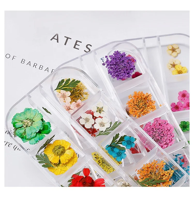 Miyoca Natural Dried Flowers for Nail Art Acrylic 3d Nail Flower Decoration Pearl Sticker 2021 Nail Art Accessories Design