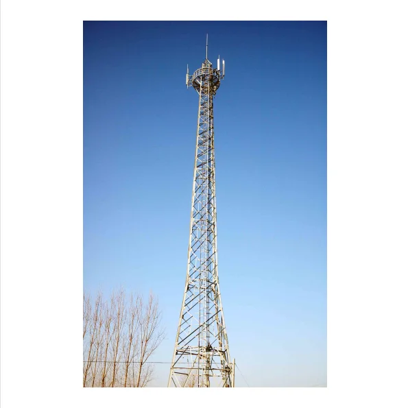 Top Quality Wholesale Self-support Steel Lattice Mast Communication Tower