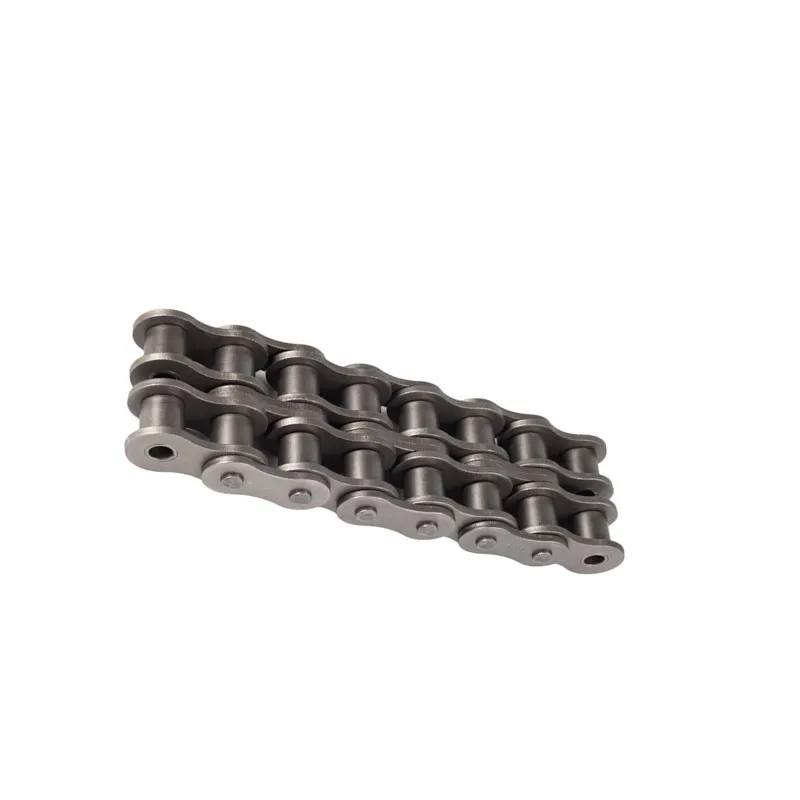 High quality industrial short pitch roller chains b series duplex c 100-2 transmission conveyor