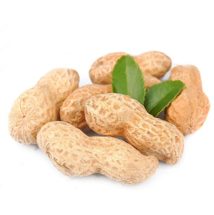 bud of japanese pagoda tree Flos Sophorae Sophra japonica extract Lonicerin sapindoside 1% - 98%