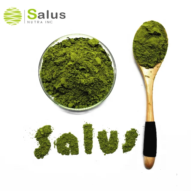 Top Quality Matcha Green Tea Matcha Powder Matcha