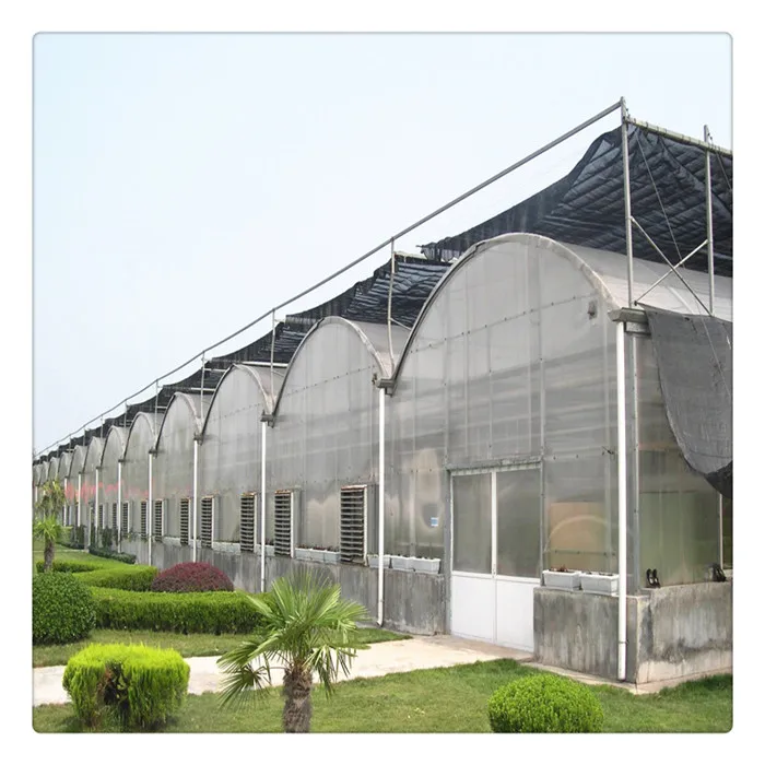  China supplier steel framework tunnel blackout single span green house for