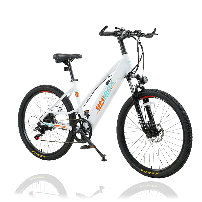 Hot High Quality China Manufacturer 10Ah Electric Bike 36V/48V 250W/350W/500W Electric City Bike