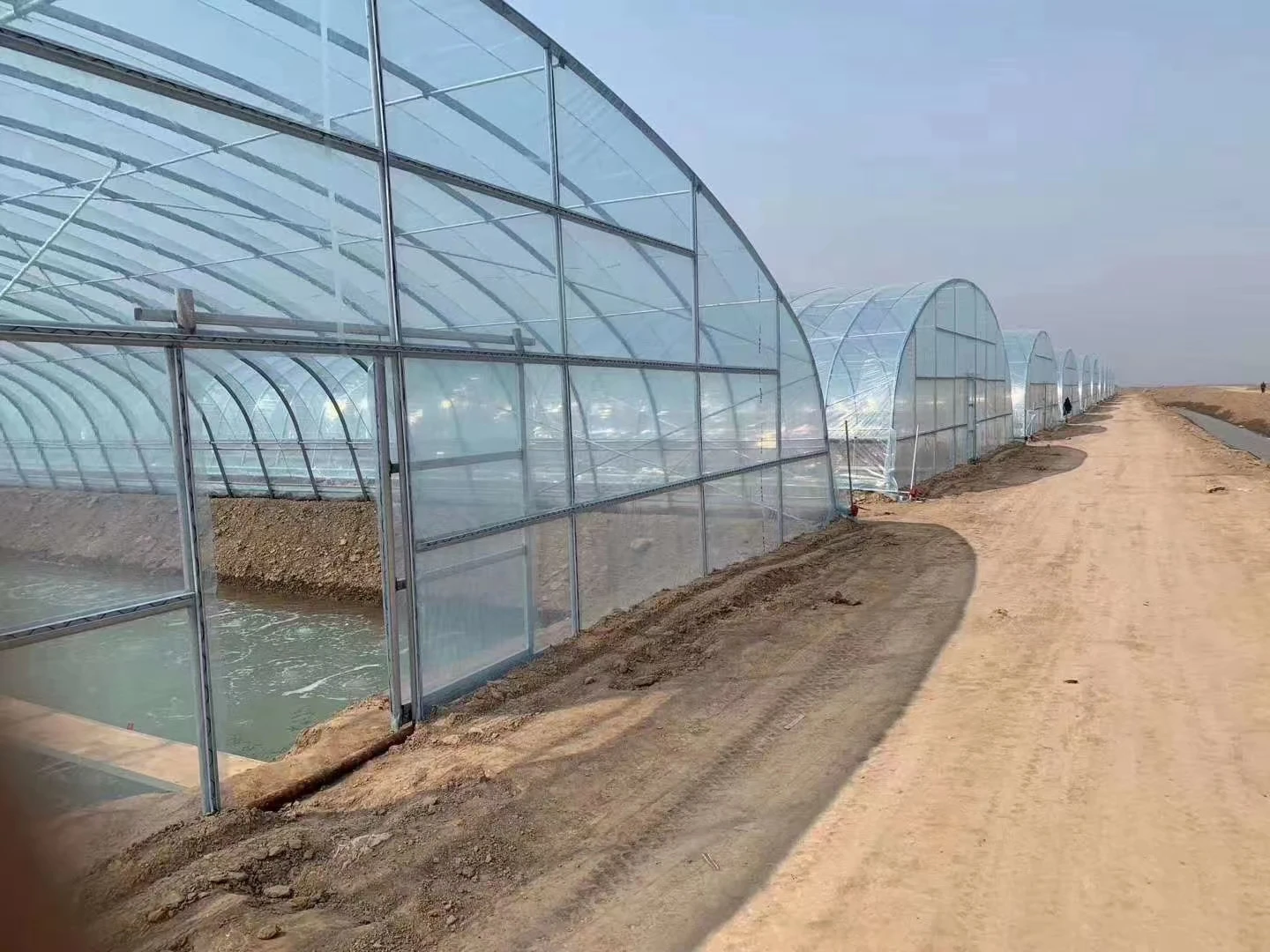 Tunnel Plastic /Flower Agricultural Single Span Plastic Tunnel Greenhouse/PE Flim Greenhouse For Vegetables