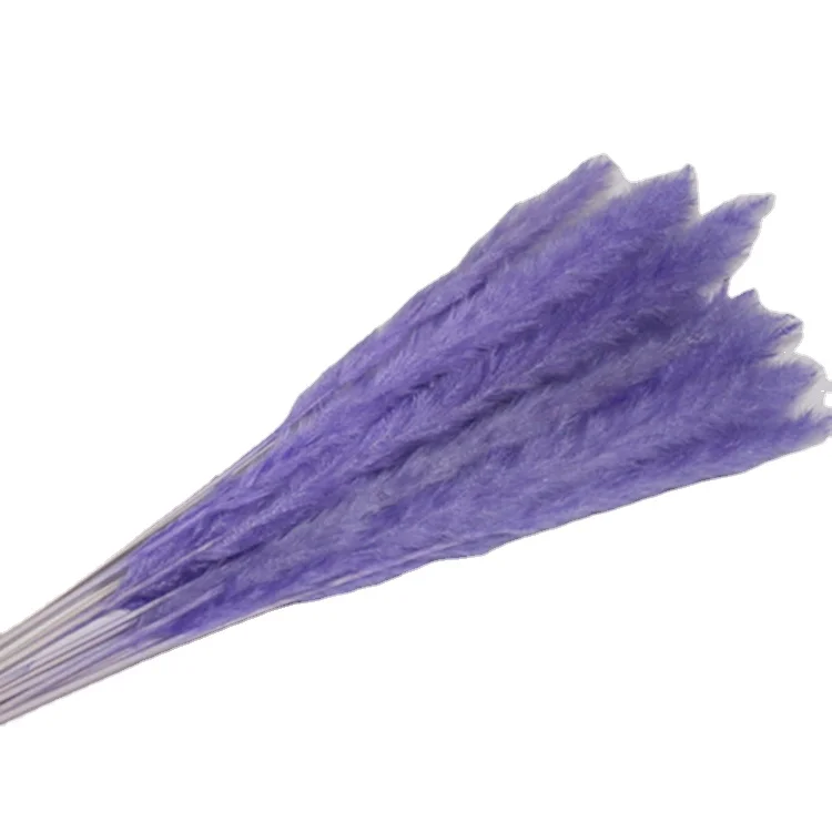 wholesale Decorative Pampas grass Small for Wedding Natural Small Dried Flower Pampas fluffy artificial grassray
