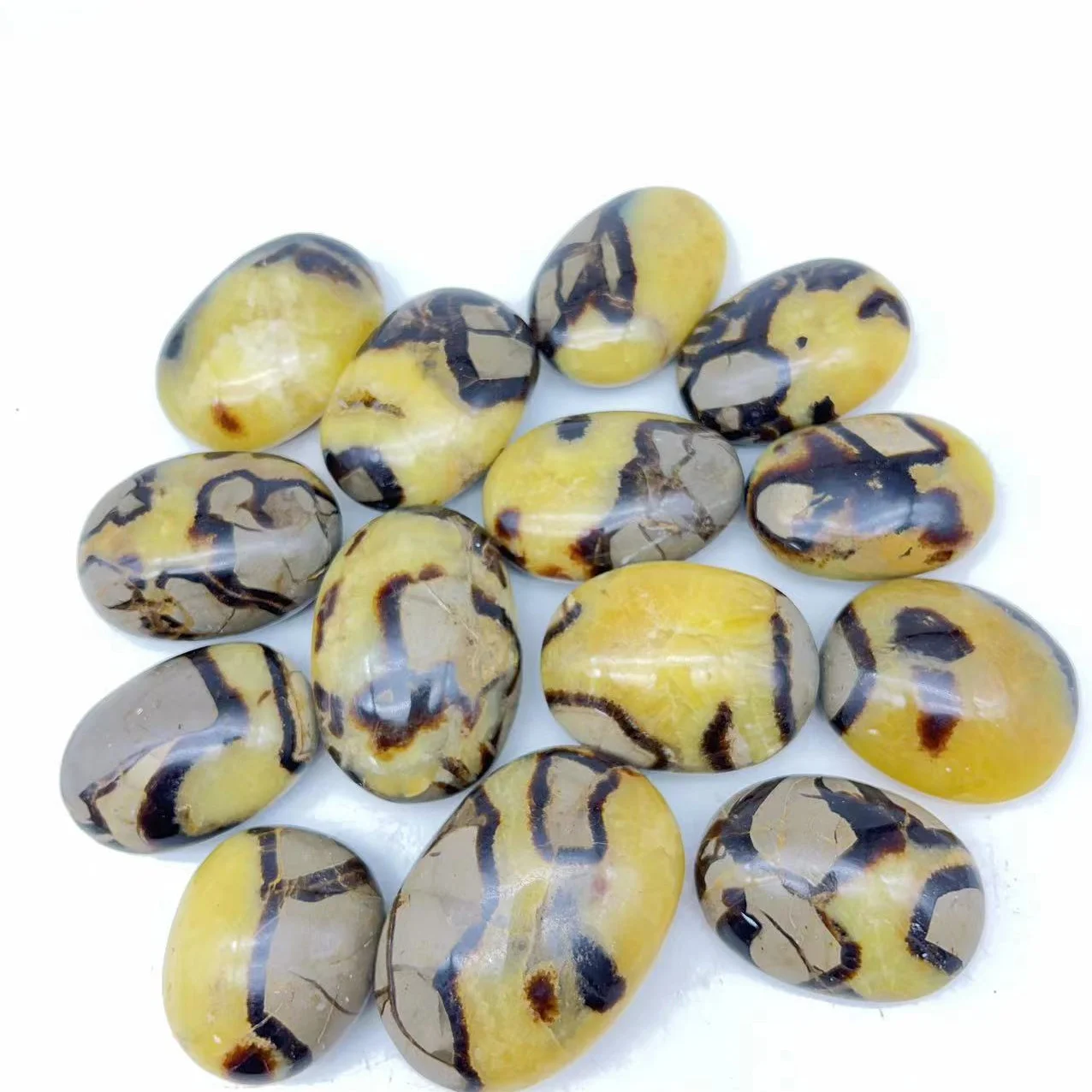 Wholesale Natural crystal septarium palm stone crystal quartz gemstone palm for decoration and artwork gift