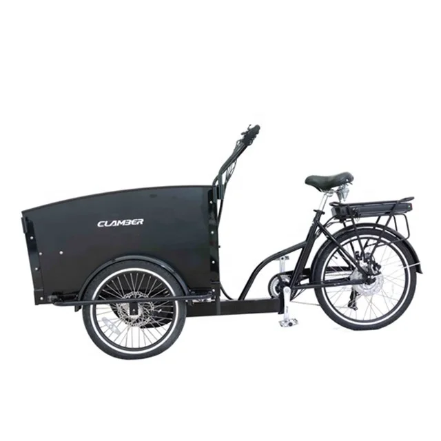 3 wheels hot sale electric cargo tricycle family e- bike factory directly