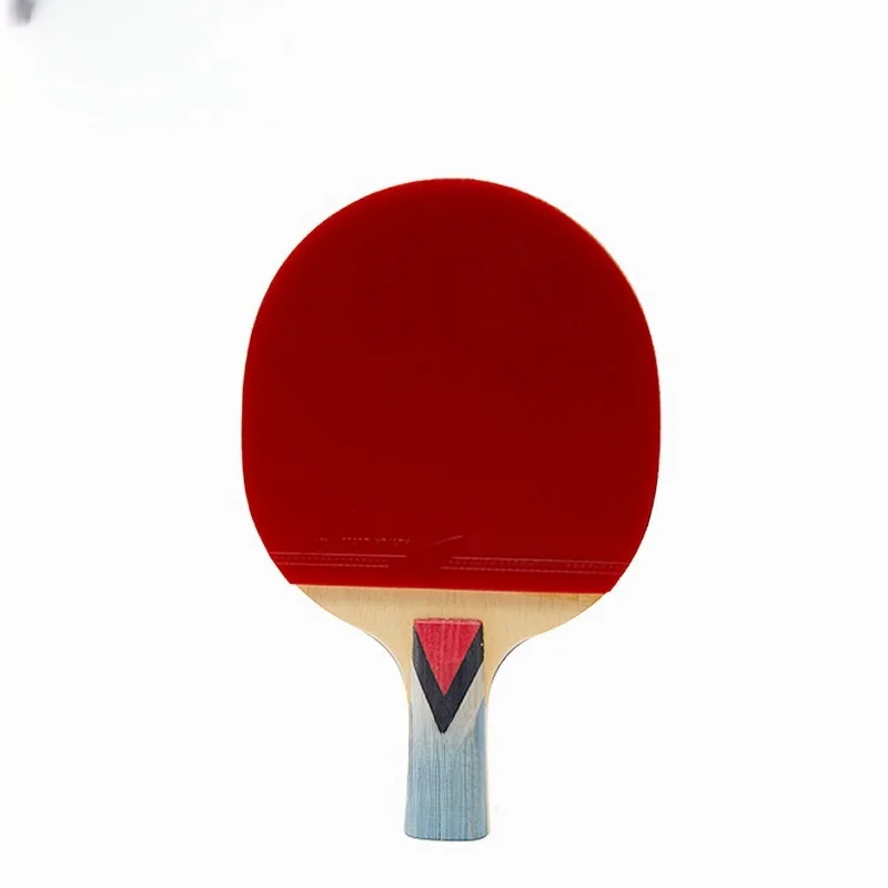 Professional 4 Star Table Tennis Racket Set 2 Racket 3 Ball Portable Table Tennis Set