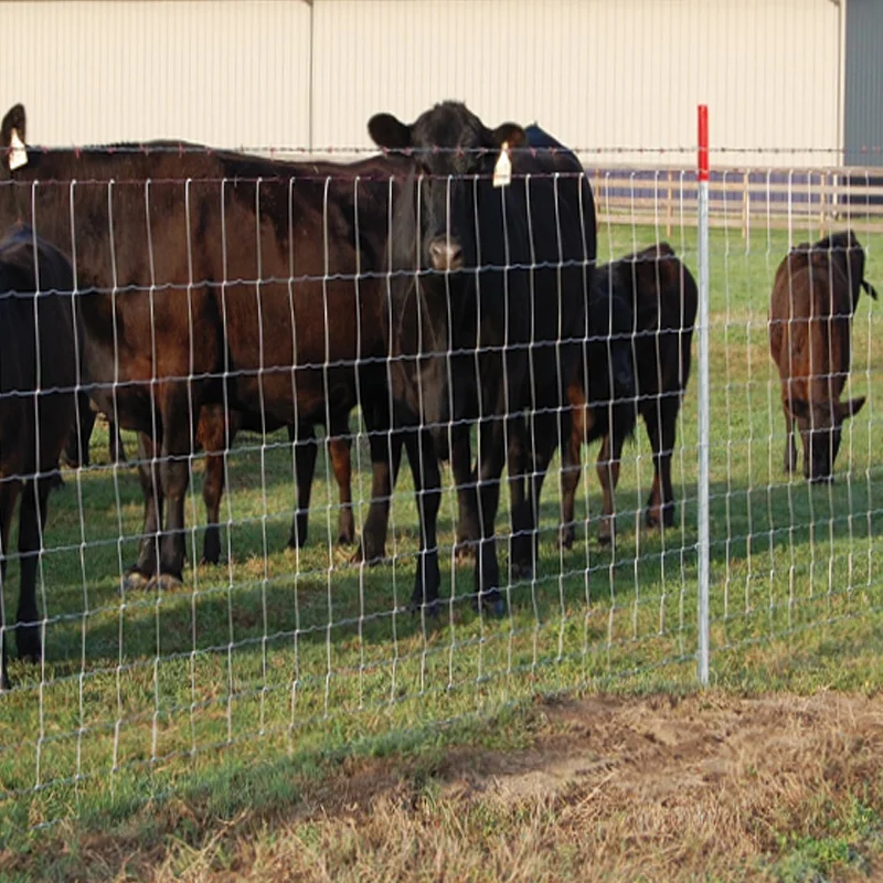 Hinge joint cattle wire mesh 25mm deer barrier animal guard field fence