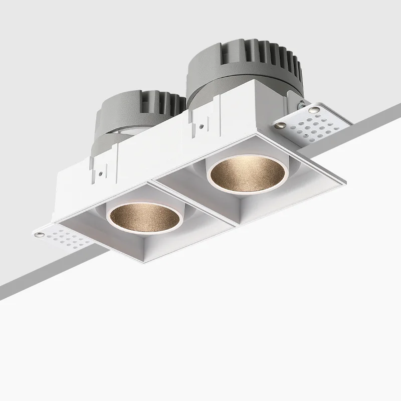 Frameless LED Spotlight Double Head 2*10W LED Recessed Adjustable Downlight Spotlight Ceiling Mounted Light