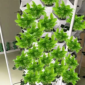 Home Vertical Garden Tower with Vertical Tower for Leafy Vegetable Hydroponic Growing Systems