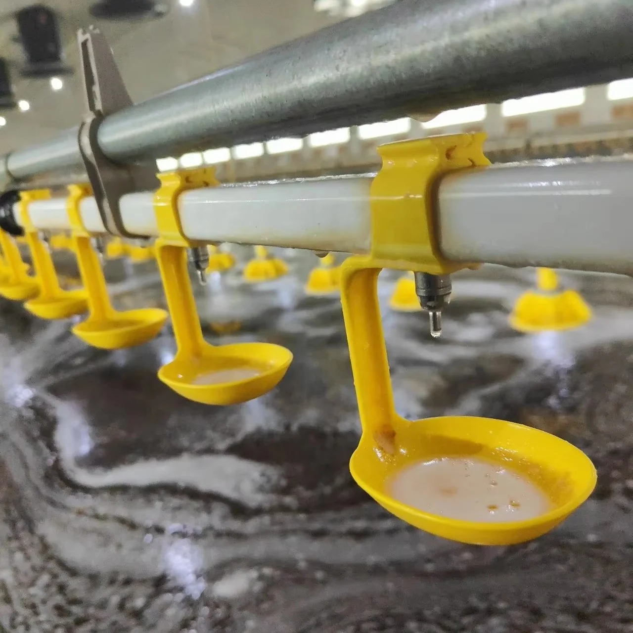 Drinking Line for chicken  automatic nipple water system /layers broilers breeders/ high quality complete water line