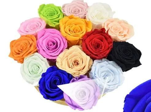 
Long Lasting Roses Kunming Yunnan 5-6cm Real Touch Rose Flower Head For Flower Wall 