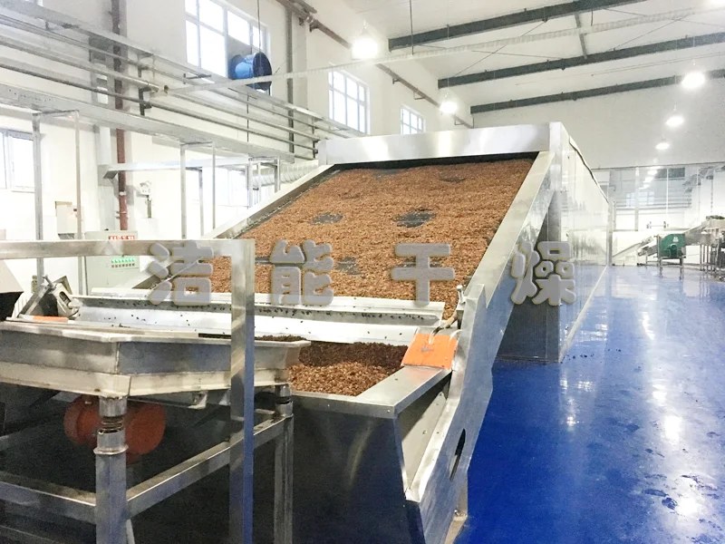 500-1500kg/h stainless steel  raisin  drying machine  with  continuous belt grape dryer machine for industrial fruits dehydrator