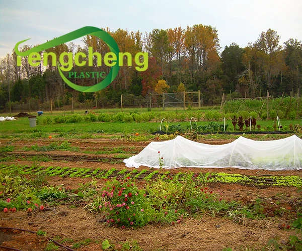 Customized Agriculture Greenhouse Ground Weed Barrier PP Spunbonded Plant Cover Nonwoven Fabric