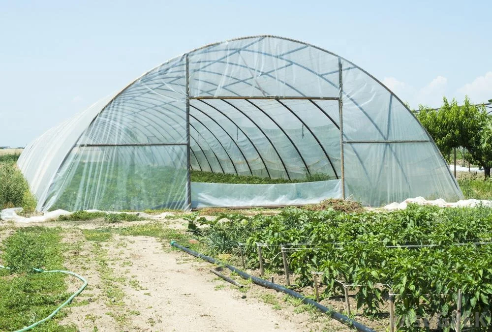 Agriculture non-woven fabric spunbonded polypropylene nonwoven fabric protection green plant