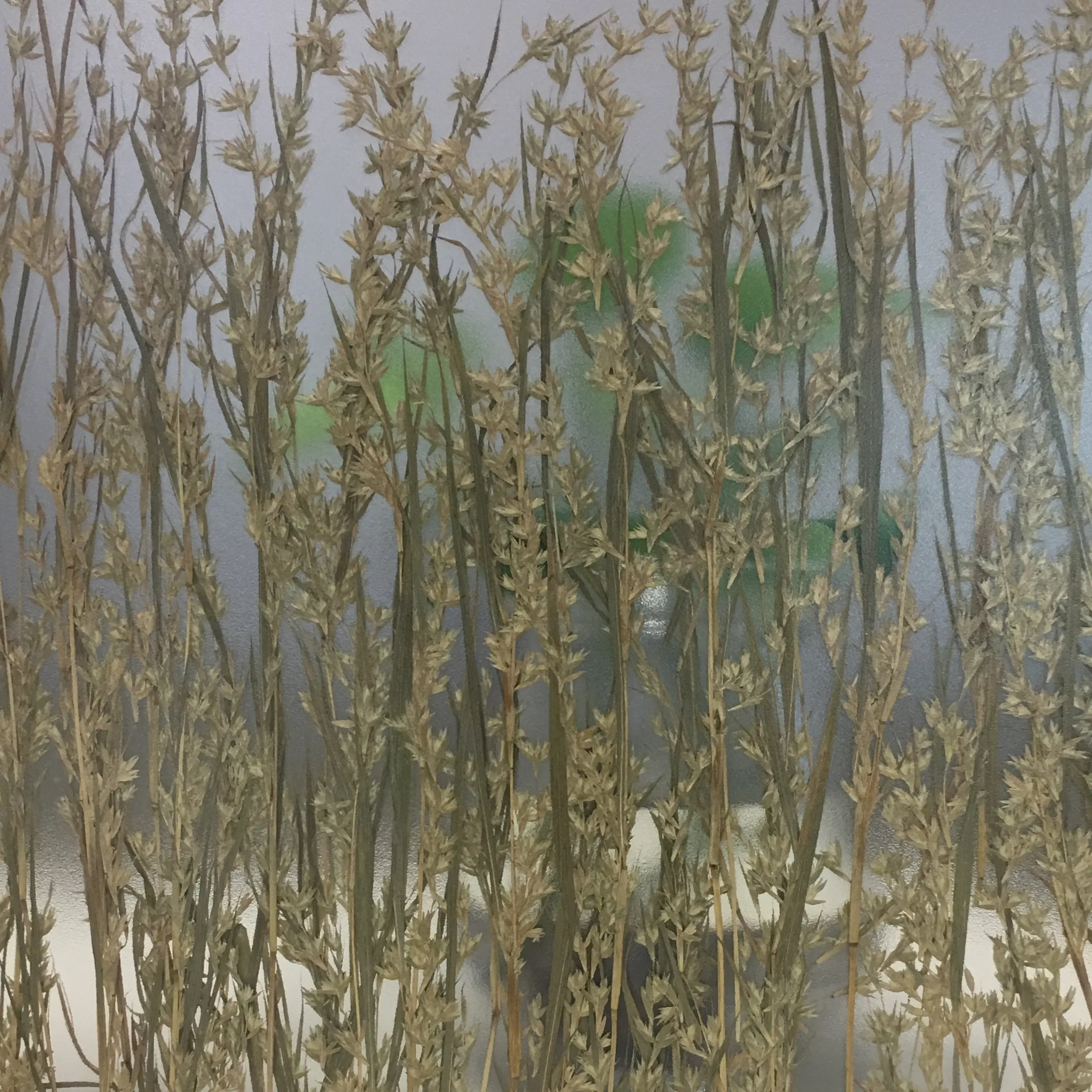 Interior Acrylic Laminated Natural Textile Transparent Plastic Doors