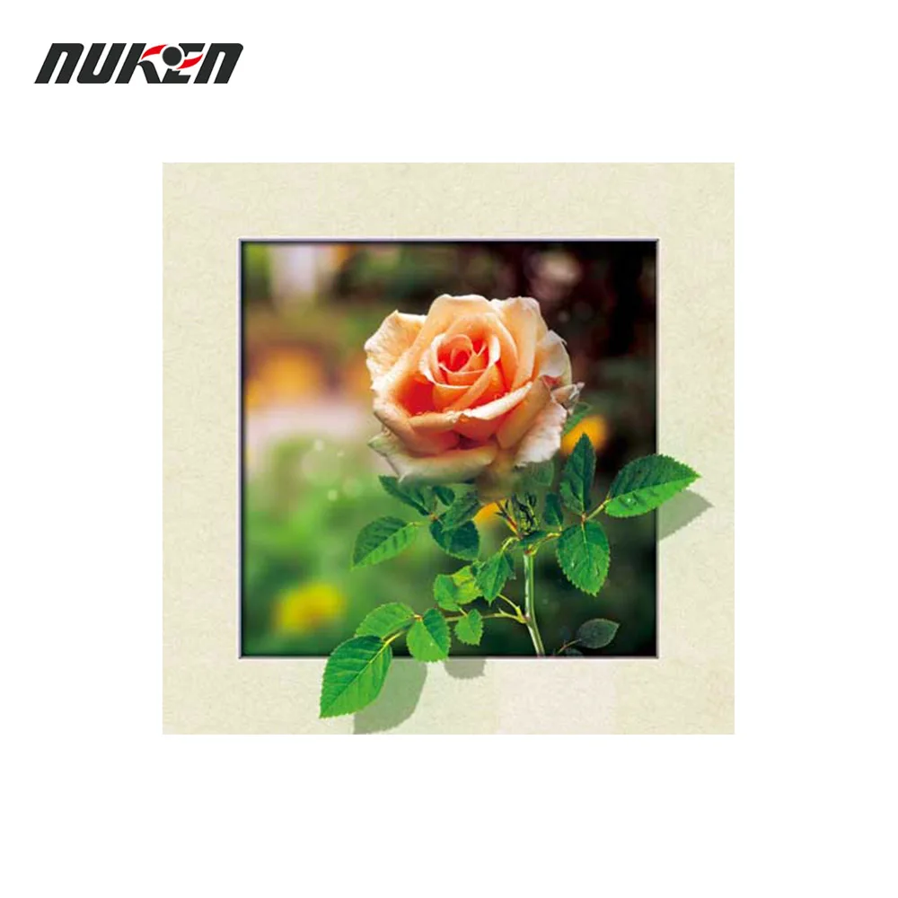 5D Lenticular Effect Picture frames