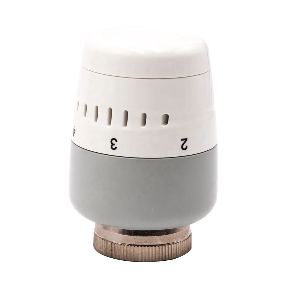 Special temperature controller for radiator