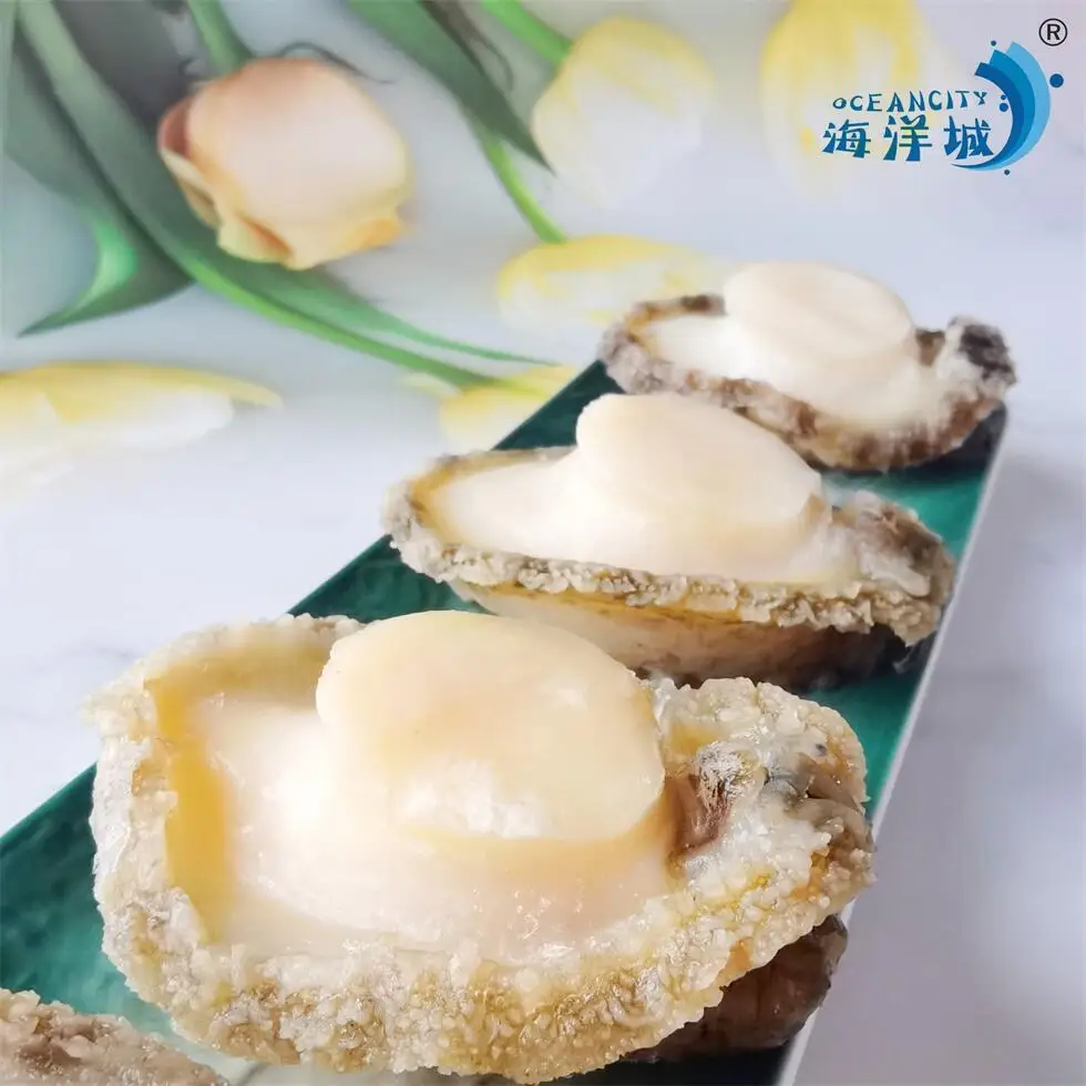 Wholesale High Quality Abalone Frozen Dried Abalone Chinese Suppliers  For Sale