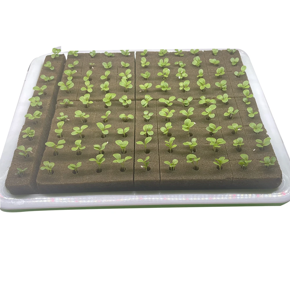 Garden Supplier seed cubes hydroponic foam  seed cultivation media cubes square