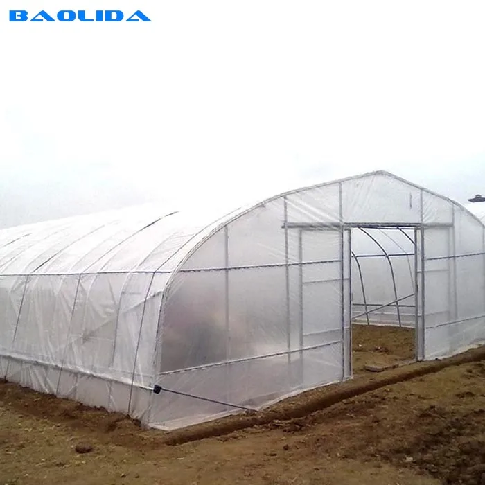 Polytunnel Garden High Quality Plastic  Greenhouse For Agriculture