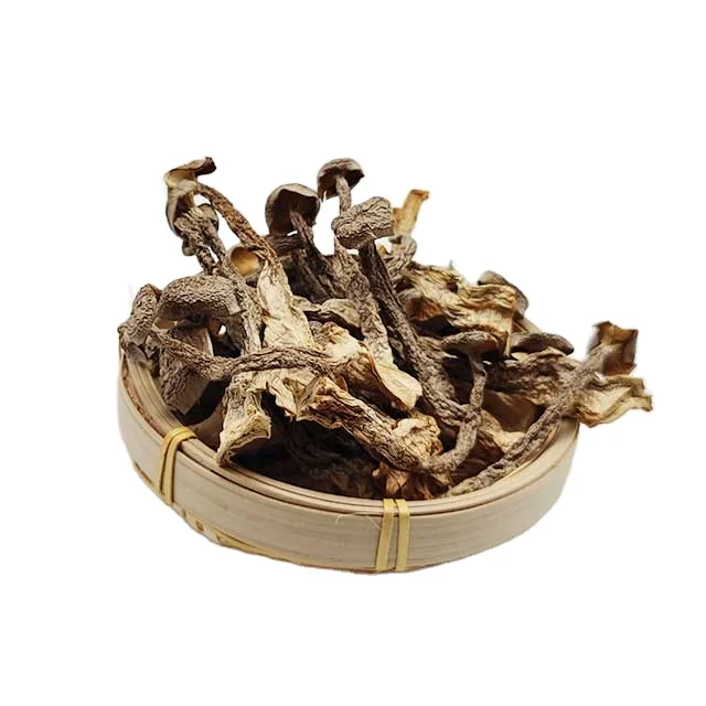 Розничная продажа сушеных грибов, произведенных в Китае, длительный срок годности, сушеные бархатные грибы