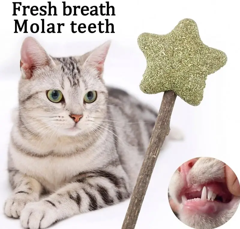 hot selling pet cat toy lollipop shape natural catnip cat interactive molar chew toy