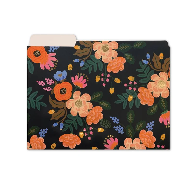 Custom A4 portfolio  fancy paper file folder
