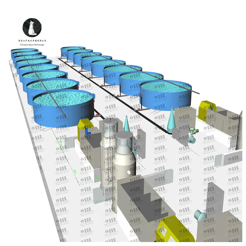 Sea water Recirculating Aquaculture Systems Modern Agriculture Fish Farming