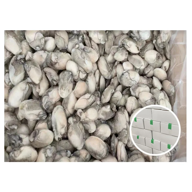 New Coming Goods Fresh Without Shell Oyster Packaging Box Frozen Meat Oysters