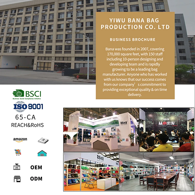 Fashion Candy Colors Schoolbag Backpack for Young Girls and Boys College School Daypack with Laptop Interlayer