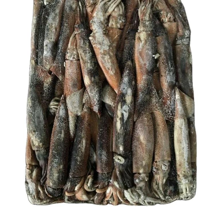 Low price Japanese Squid / Todarodes Pacificus