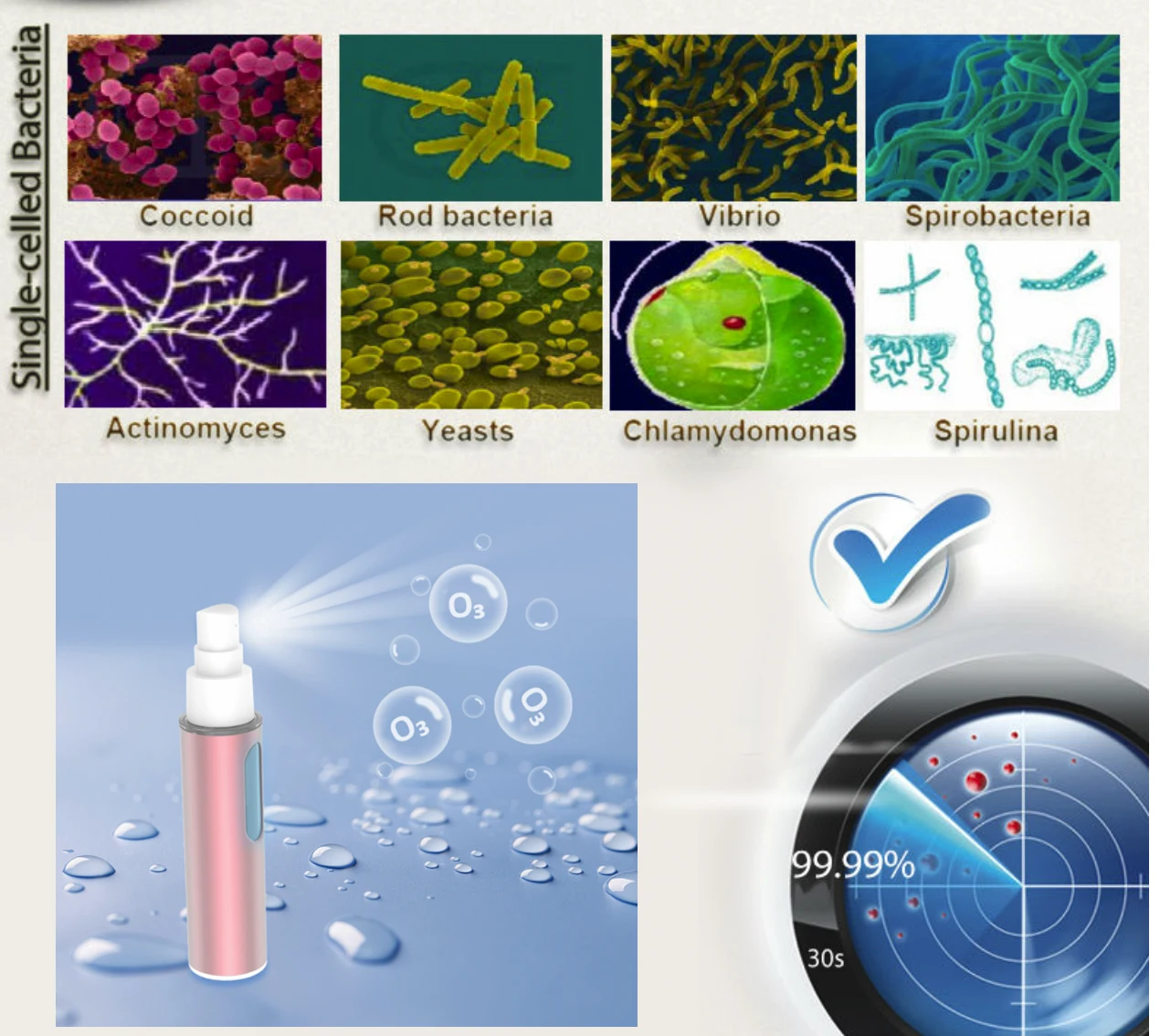 New multifunction efficient homemade sterilization Ozone water sprayer o3 water spray Portable Ozone sterilizer