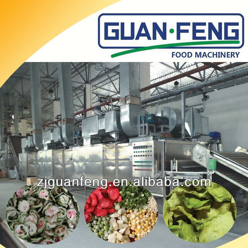 Commercial belt dryer onion fruit industrial vegetable dehydrator fruits dehydrator machine