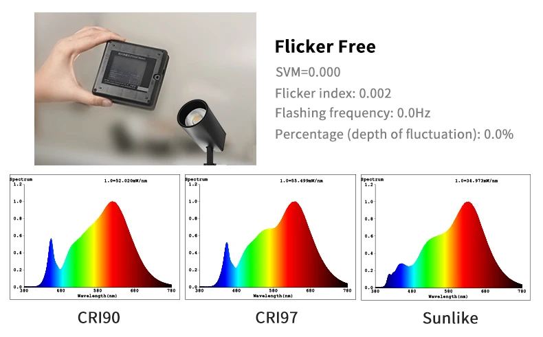 SFR_04.jpg