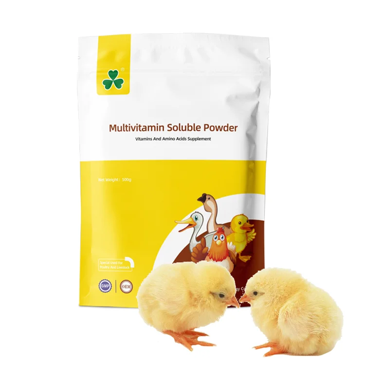 Chicken boosters and broiler vitamins and mineral powder supplements for poultry