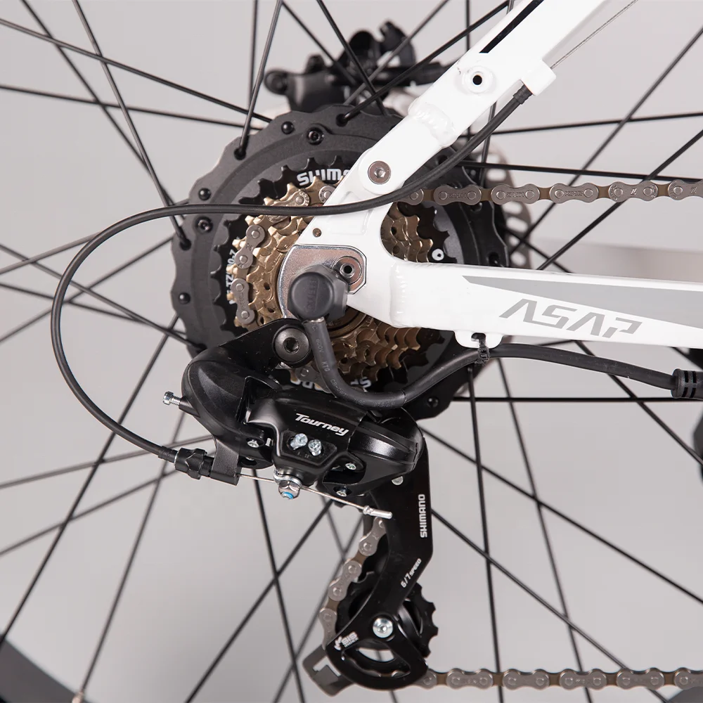 Equipped 26 Inch Fat Tire Support Multi-Terrain Riding Using 750W Bafang Motor Powerful Adult Electric Mountain Bike