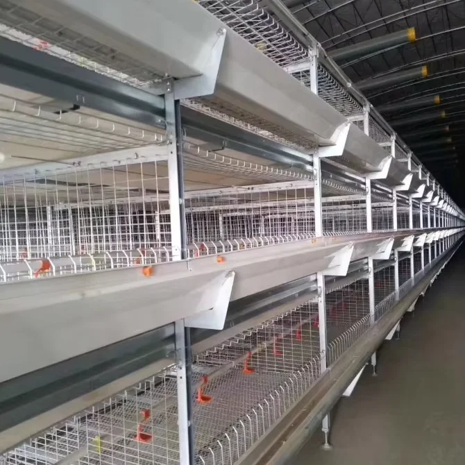 Modern H-Type Automatic Farming Equipment Steel Poultry and Hop-Dip Galvanized Layer Cage for Chickens