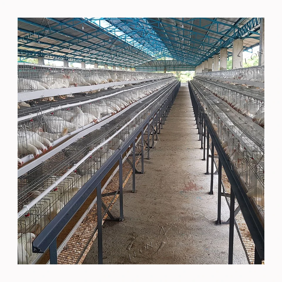 Low Price Galvanized Wire Panels A Type Layer Chicken House Cage in Lapins