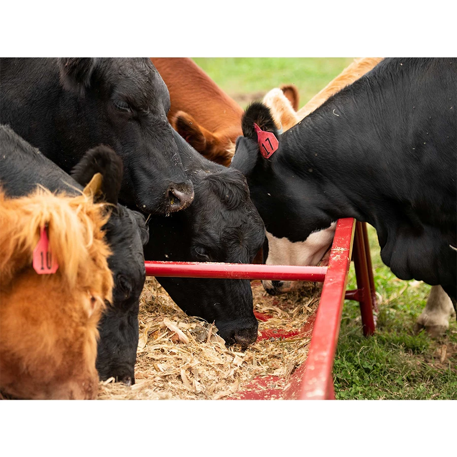 Livestock Farm Equipment Outdoor Red Metal Steel Hay Calf Feeders Cow Feeder Trough