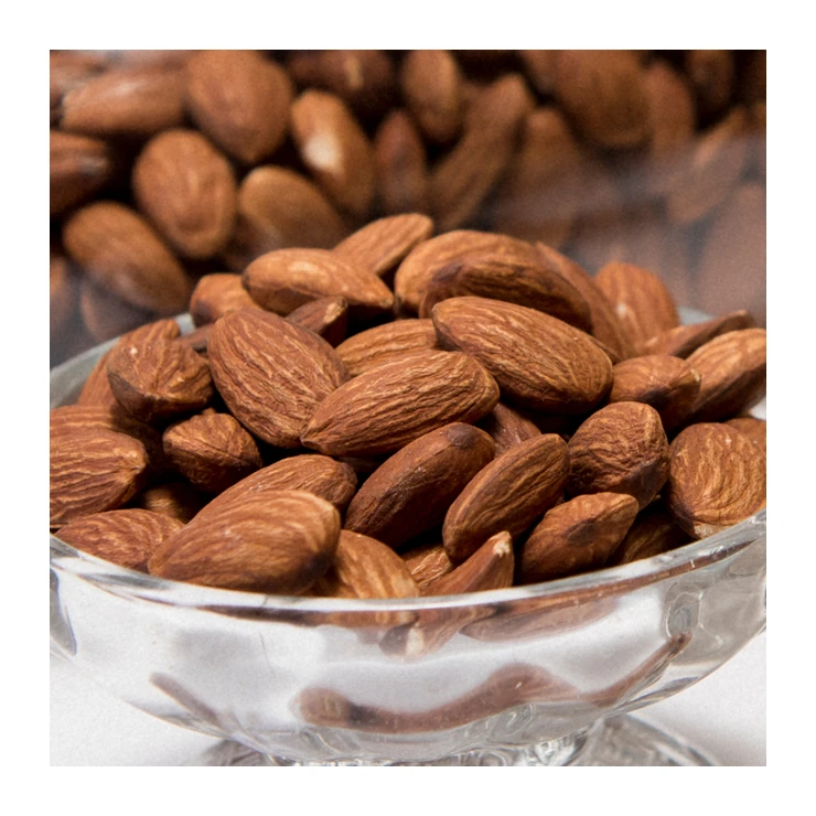 Wholesale excellent cost performance snack mix cashew nut import