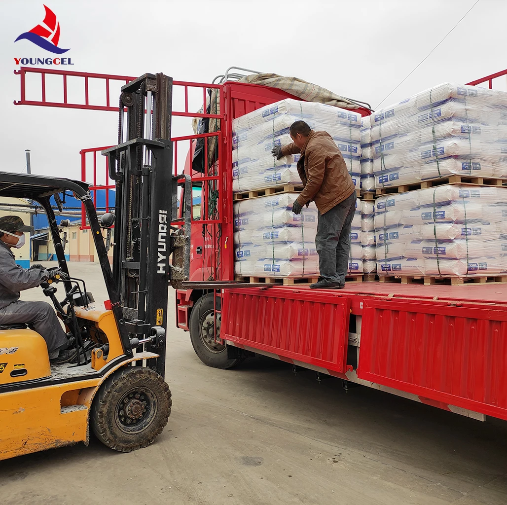 Professional HPMC Supplier Paint Coating Chemicals High Purity HPMC/VAE/MHEC  Powder